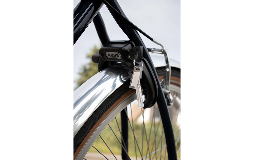 Johnny Loco Beach Cruiser - Sinatra Low