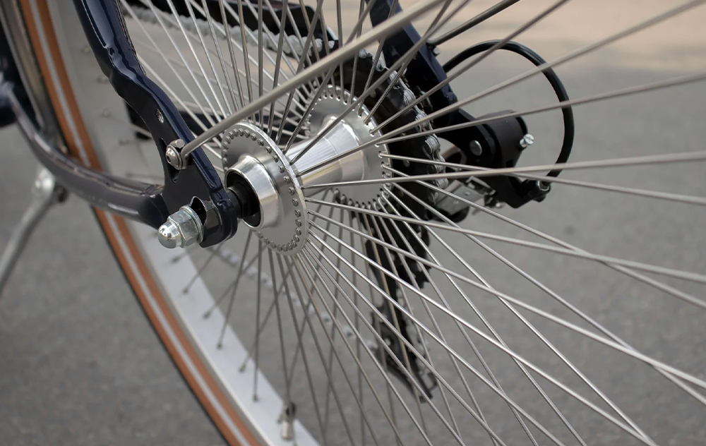 Johnny Loco Beach Cruiser - Sinatra High