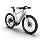 Mercedes-AMG PETRONAS F1® Team City Edition 250 Electric Bike