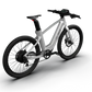 Mercedes-AMG PETRONAS F1® Team City Edition 250 Electric Bike