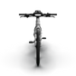 Mercedes-AMG PETRONAS F1® Team City Edition 250 Electric Bike