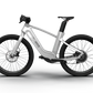 Mercedes-AMG PETRONAS F1® Team City Edition 250 Electric Bike