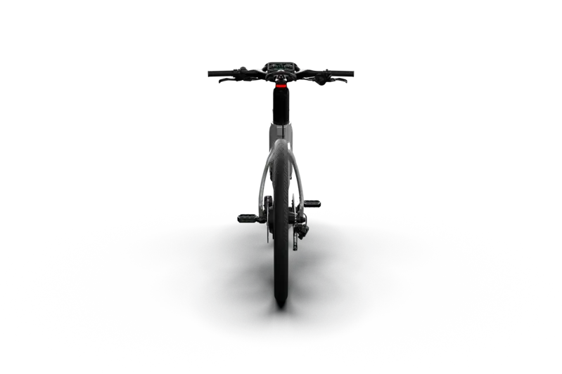 Mercedes-AMG PETRONAS F1® Team City Edition 250 Electric Bike