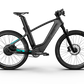 Mercedes-AMG PETRONAS F1® Team Rallye Edition 250 Electric Bike