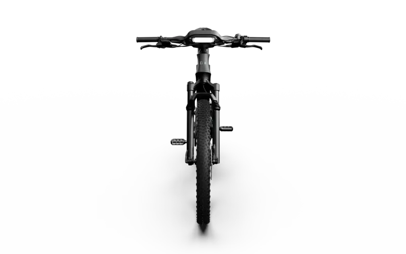 Mercedes-AMG PETRONAS F1® Team Rallye Edition 250 Electric Bike