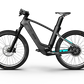 Mercedes-AMG PETRONAS F1® Team Rallye Edition 250 Electric Bike