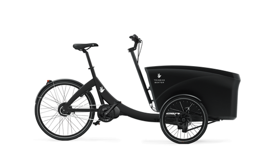 TRIOBIKE Boxter Air II