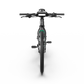 Mercedes-AMG PETRONAS F1® Team Track Edition 250 Electric Bike