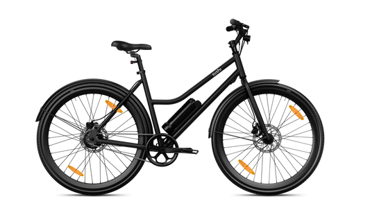 Sushi California Roll 3.0+ B-Ware