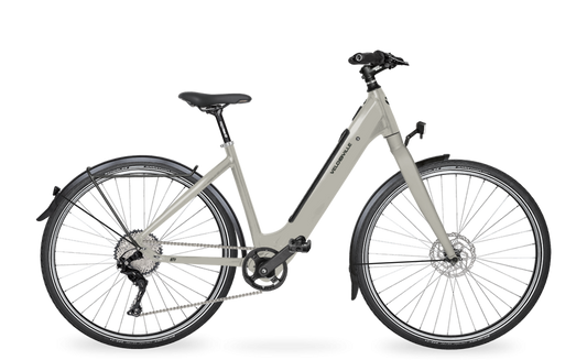 Velo de Ville 6TY Fazua Ride 60