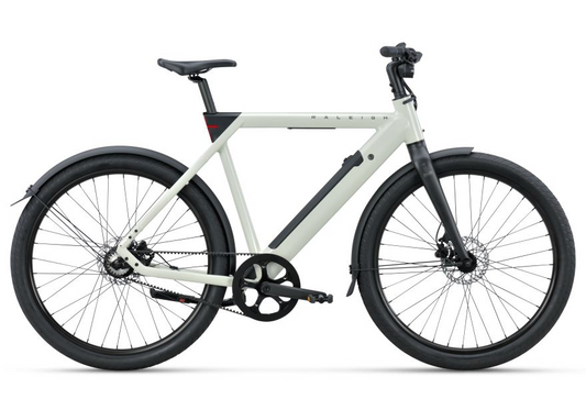 Raleigh One