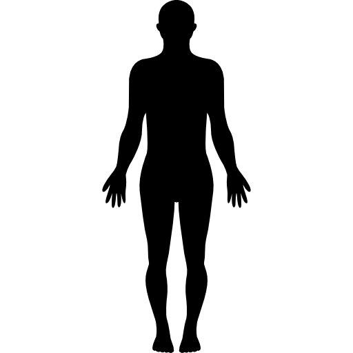 Körpergröße